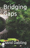 Bridging Gaps
