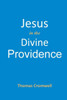 Jesus In The Divine Providence