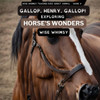 Gallop, Henry, Gallop!: Exploring Horse's Wonders (Wise Whimsy Teaches Kids About Animals)
