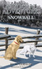 Bayocor's Adventures, Snowball