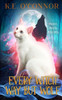 Every Witch Way But Wolf (Magical Misfits Mysteries)