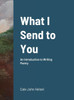 What I Send To You: An Introduction To Writing Poetry