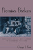 Promises Broken: Courtship, Class, And Gender In Victorian England (Victorian Literature And Culture Series)