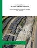 Madrigueras II: Un vicus en el territorio segobricense (Spanish Edition)