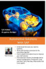 Automotive Solutions With Sap: Essential Practice Reference