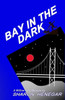Bay In The Dark (Willow Falls Mysteries)