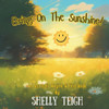 Bring On The Sunshine!: An Acrostic Rhyme & Find Book