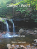 Canyon Pools: Graphing Grids (Piers Of Growth)