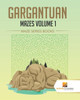 Gargantuan Mazes Volume 1 : Maze Series Books