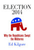 Election 2014: Why The Republicans Swept The Midterms