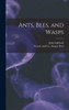 Ants, Bees, And Wasps