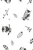 Science And Pseudoscience In Social Work Practice