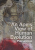 An Ape's View Of Human Evolution