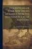 Descriptions Of Some New Species Of Fossils From The Devonian Rocks Of Manitoba