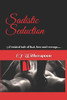 Sadistic Seduction: A twisted tale of lust, love and revenge....