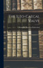 The Ileo-Caecal Valve
