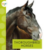 Thoroughbred Horses (Spot Horses)