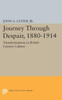 Journey Through Despair, 1880-1914 (Princeton Legacy Library, 2245)