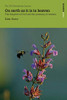On Earth as it is in Heaven: The Kingdom of God and the Yearning of Creation (Swarthmore Lecture)