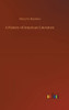 A History Of American Literature
