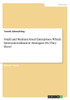 Small And Medium Sized Enterprises. Which Internationalization Strategies Do They Have?