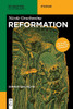 Reformation (De Gruyter Studium) (German Edition)