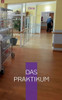 Das Praktikum (German Edition)