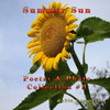 Summer Sun