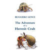 The Adventure Of A Hermit Crab