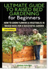 The Ultimate Guide To Raised Bed Gardening For Beginners