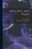 Ants, Bees, And Wasps
