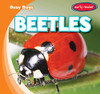 Beetles (Busy Bugs)