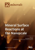 Mineral Surface Reactions At The Nanoscale