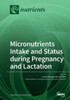 Micronutrients Intake And Status During Pregnancy And Lactation