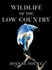 Wildlife of the Low Country