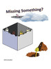 Missing Something? (Hardcover)