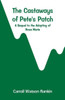 The Castaways of Pete's Patch : A Sequel to the Adopting of Rosa Marie