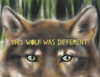 This Wolf Was Different