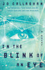 In the Blink of an Eye : A Novel
