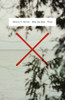 What You Want : Poems
