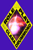 Role Play : A Novel