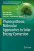 Photosynthesis: Molecular Approaches To Solar Energy Conversion (Advances In Photosynthesis And Respiration, 47)