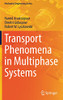 Transport Phenomena In Multiphase Systems (Mechanical Engineering Series)