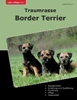 Traumrasse Border Terrier