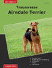 Traumrasse Airedale Terrier