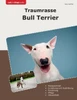 Traumrasse Bull Terrier