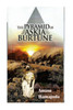 The Pyramid of Askia Burtune