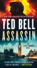 Assassin : A Novel