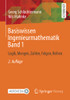 Basiswissen Ingenieurmathematik Band 1: Logik, Mengen, Zahlen, Folgen, Reihen (German Edition)