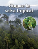 Conoce La Selva Tropical